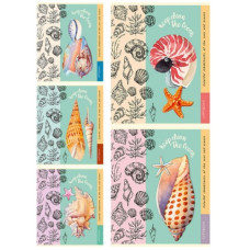 Тетрадь ~А5 48л.кл.скоба,Ракушки и узоры асс. 48-5828